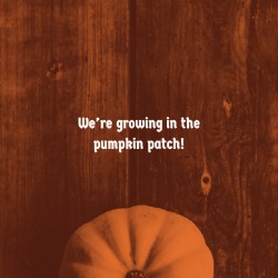 Pumpkin Patch Quotes